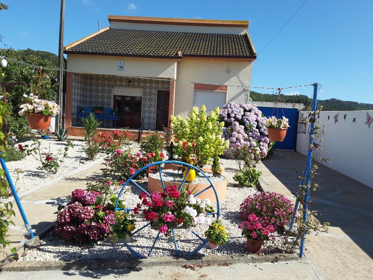 Ranch lau&Ri Nazaré Apartment Cela Velha Bagian luar foto
